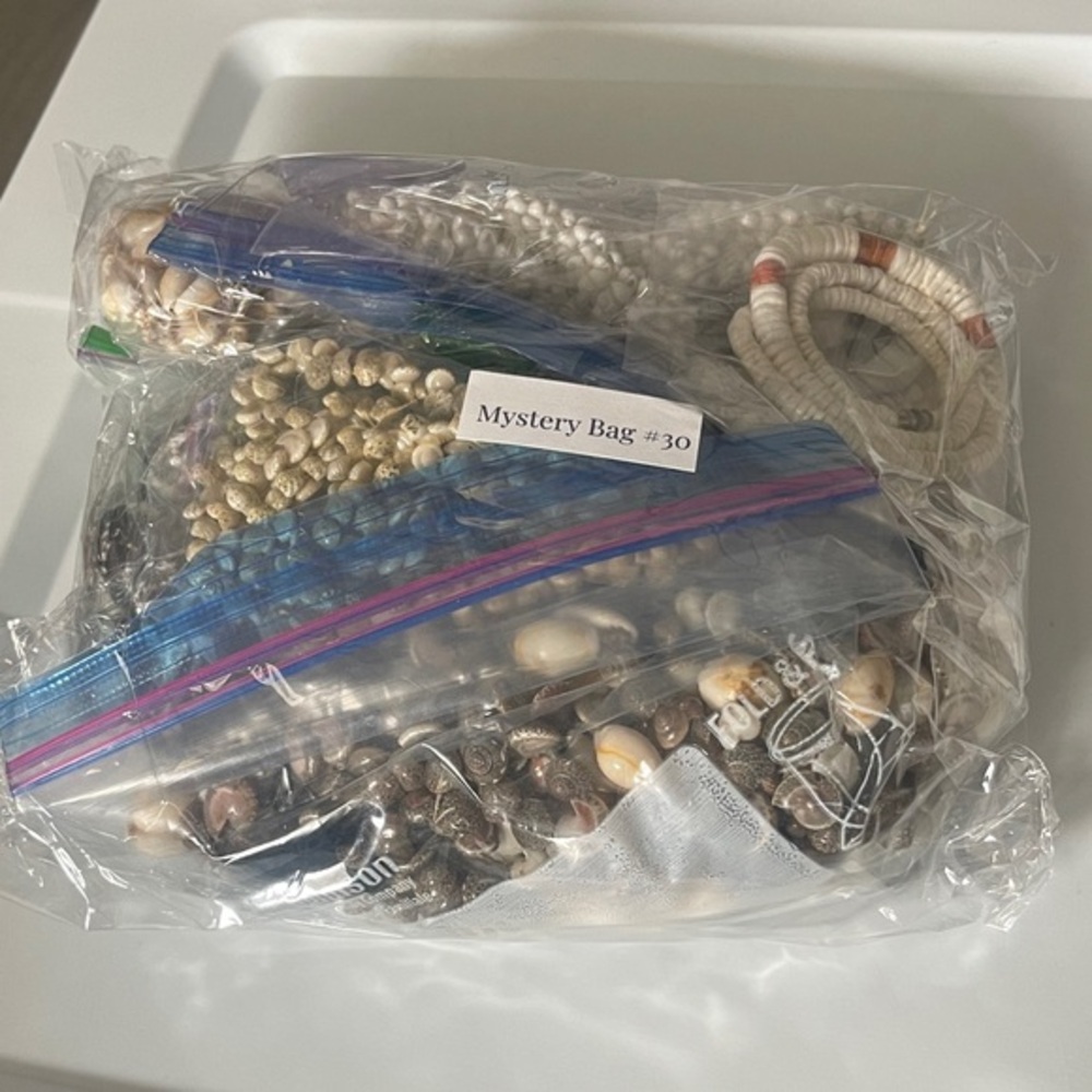 Assorted Shell Jewelry Mystery Bag #30